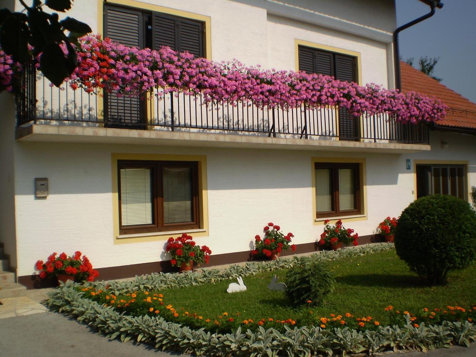 House Pavlic Hotel Grabovac  Exterior photo
